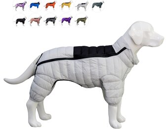 Hondenjas Warm Waterdicht Winddicht Reflecterend met 4 Poten Bedekt voor Kleine, Middelgrote & Grote Honden Gebroken Wit XL
