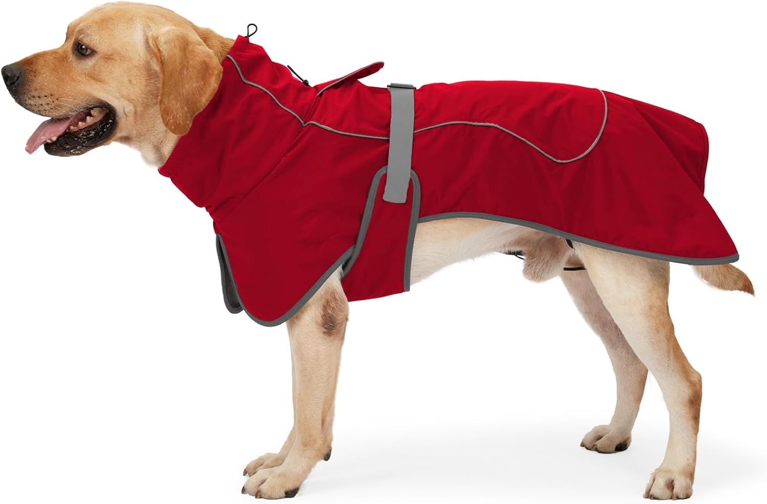 Waterdichte Hondenjas met Fleece - 78% Korting!