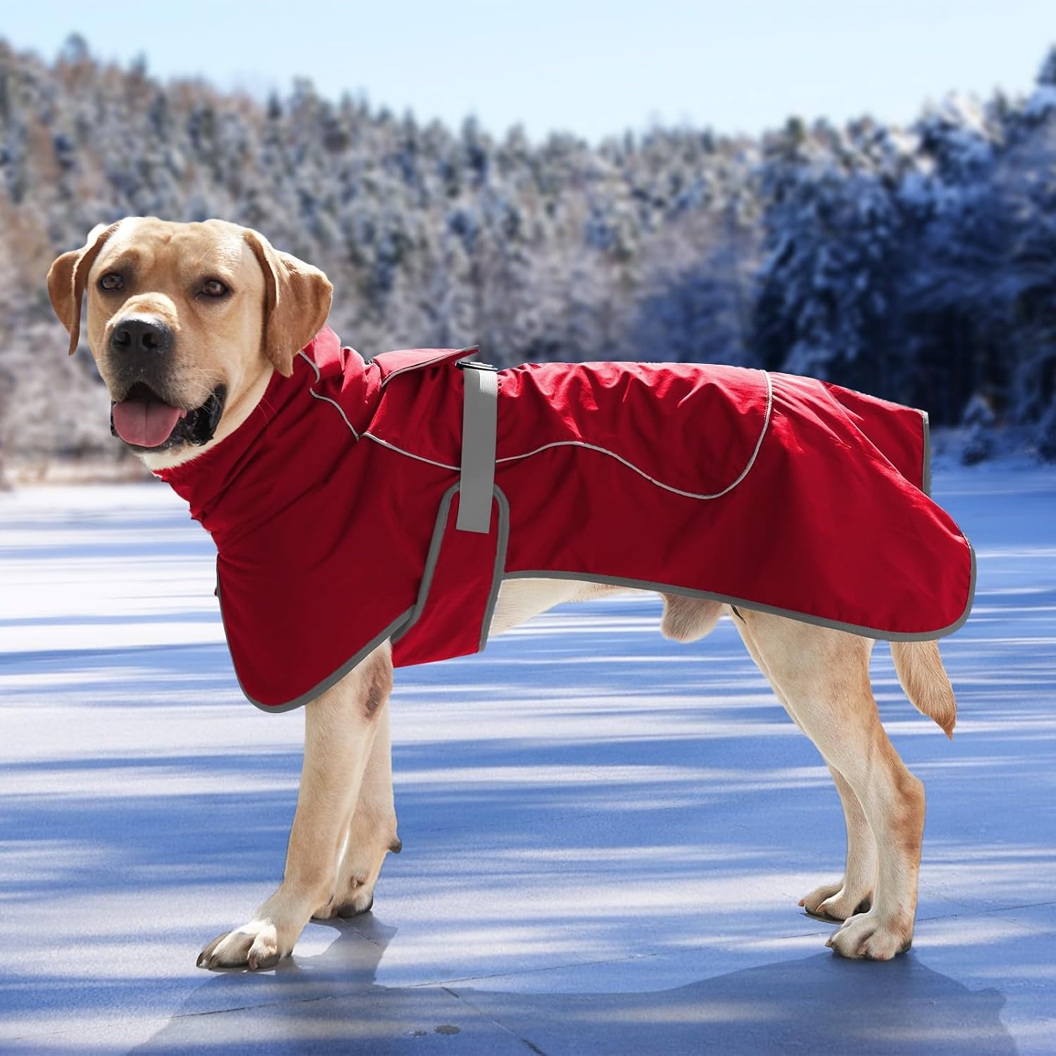 Hondensweatshirt - Rekbaar Fleece Vest - Warm & Comfortabel - 75% Korting!