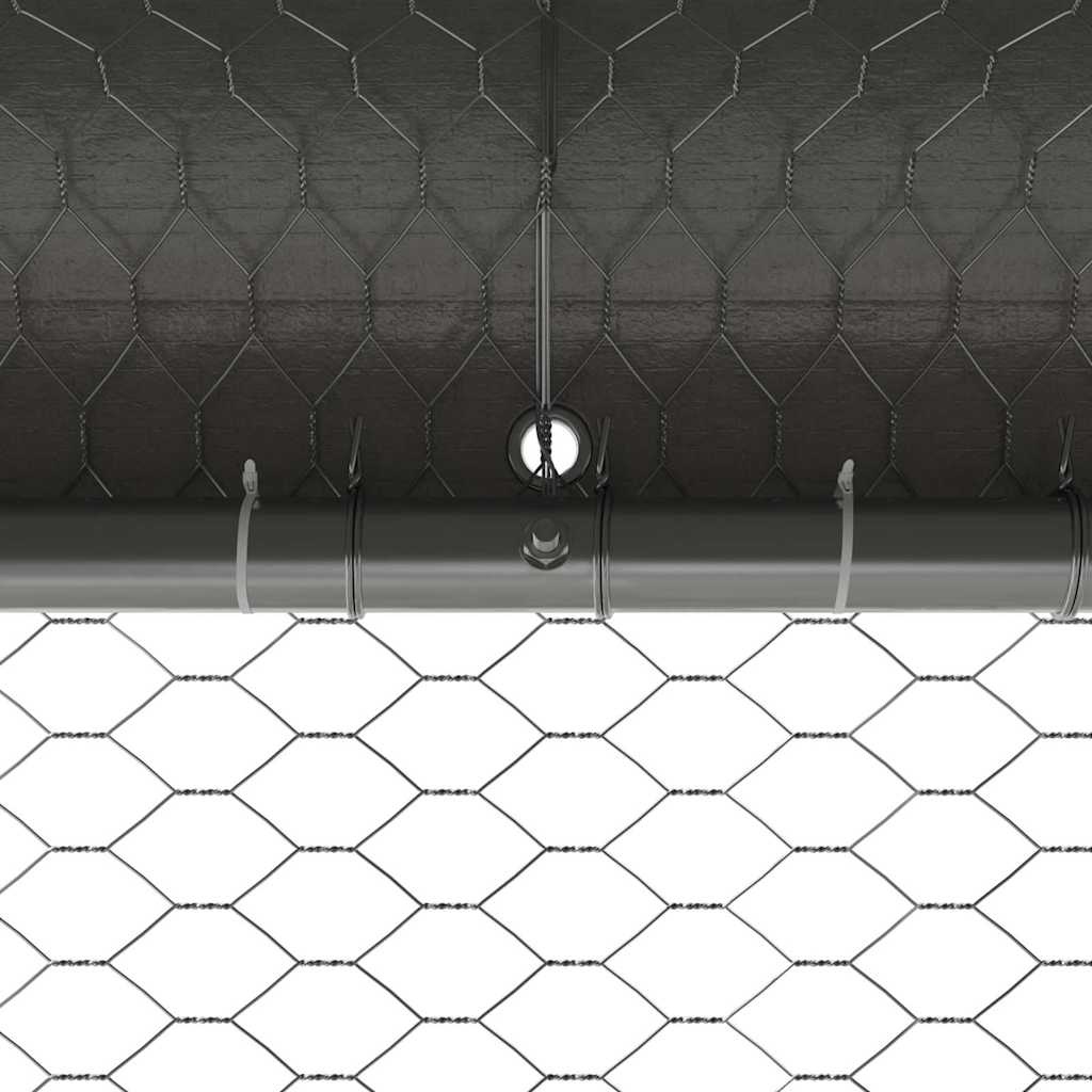 vidaXL Kippenhok zilver 2 x 2 x 2 m Gegalvaniseerd staal