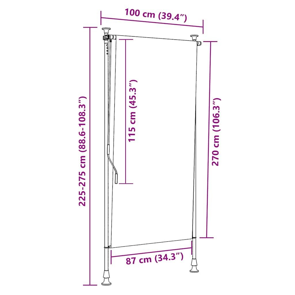 vidaXL Rolgordijn Buiten 100x270cm Antraciet - 29% Korting