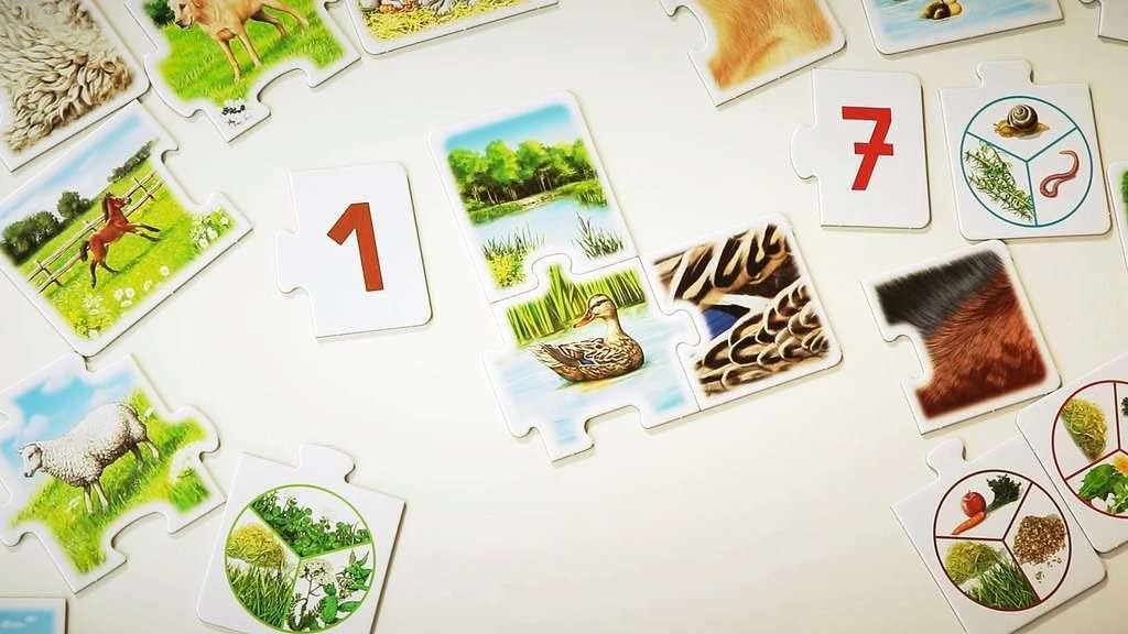 Ravensburger 776 tiptoi Al mijn dieren spel, vanaf 3 jaar, leren spelenderwijs de cijfers van 1 tot 10 met behulp van lokale dieren