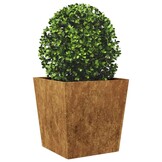 vidaXL Plantenbakken 2 st 50x50x50 cm weervast staal