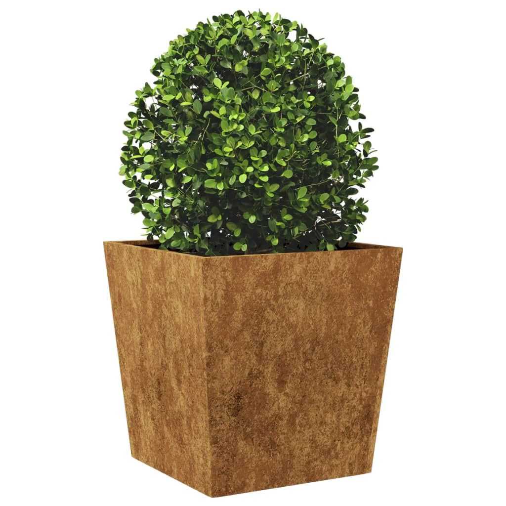 vidaXL Plantenbakken 2 st 50x50x50 cm weervast staal
