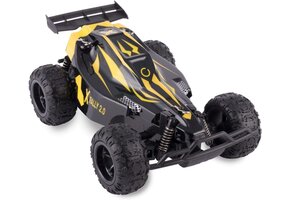 RC Ralli-X 2.0 Auto: Robuust & Snel (28% korting)