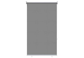 vidaXL Buitenrolgordijn Lichtgrijs - UV-bescherming (100x230cm) - 33% Korting