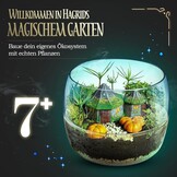 Clementoni Harry Potter Terrarium Experimenteerset - 33% Korting