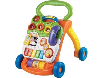 Vtech Baby Loopstoel met Spelpaneel - Leerzaam Speelgoed met Muziek - 12-36 Maanden