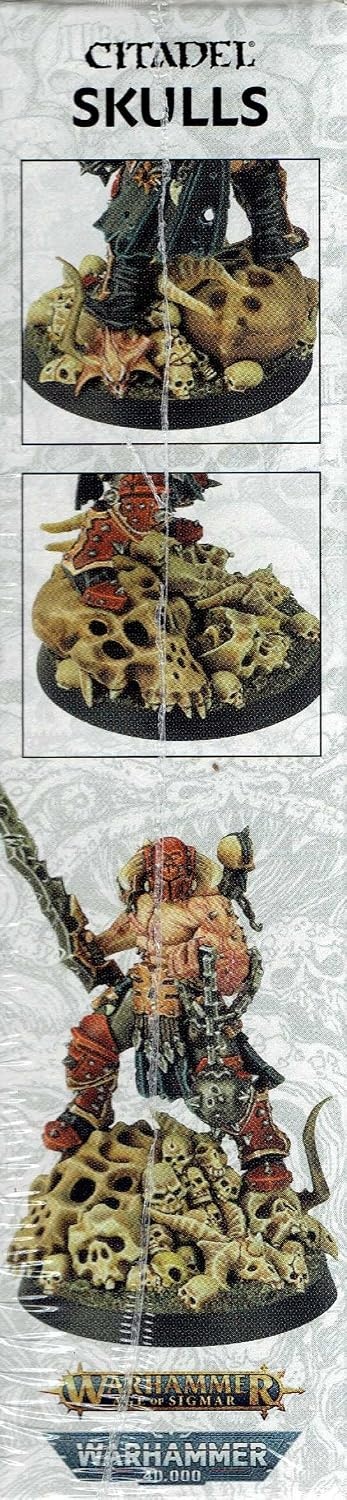 Games Workshop Citadel - Doos met schedels zwart