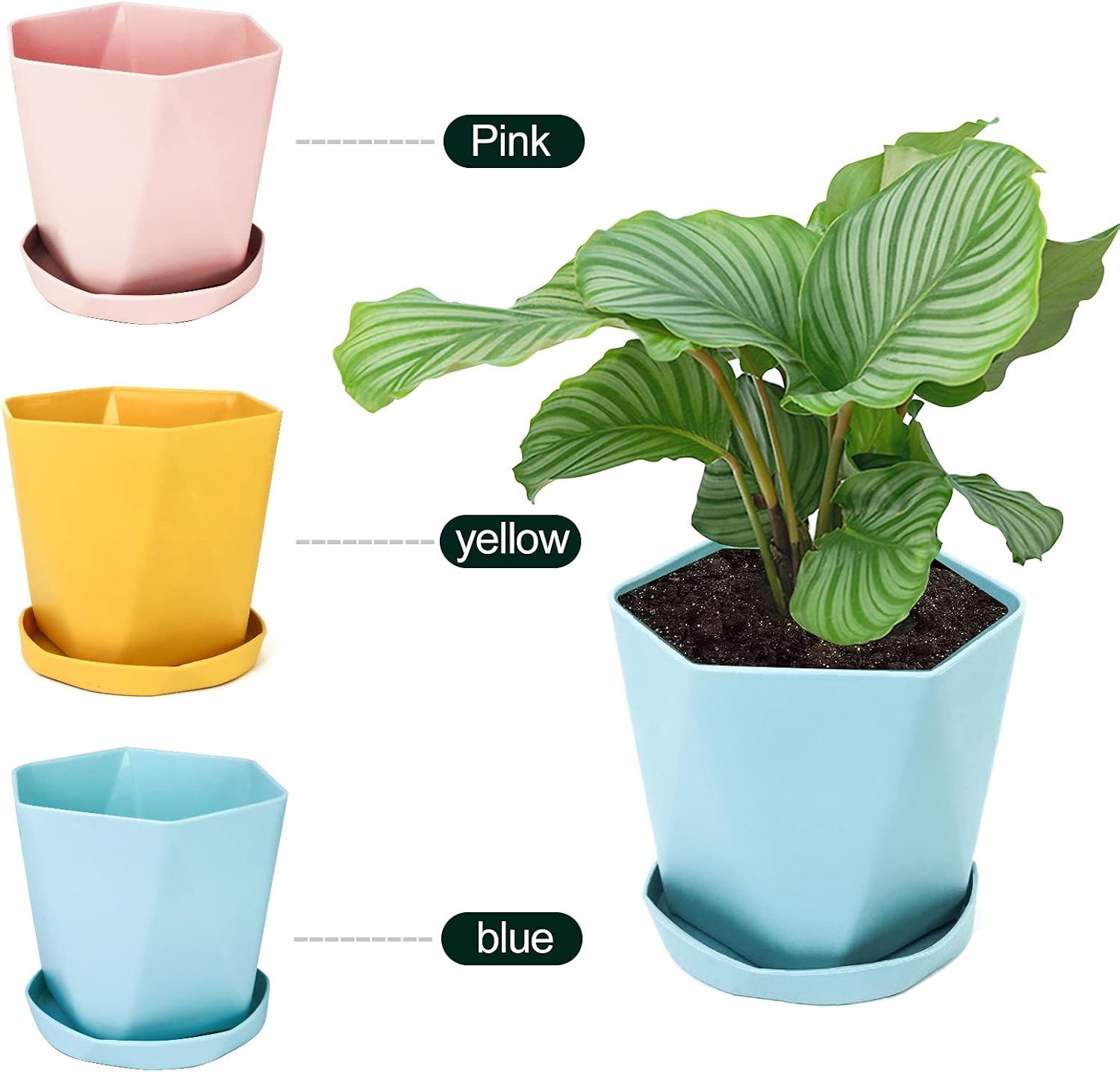 Set van 3 Kunststof Plantenpotten met Schotel - 14.5 cm - Roze, Geel, Blauw - 73% Korting!