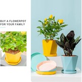 Set van 3 Kunststof Plantenpotten met Schotel - 14.5 cm - Roze, Geel, Blauw - 73% Korting!