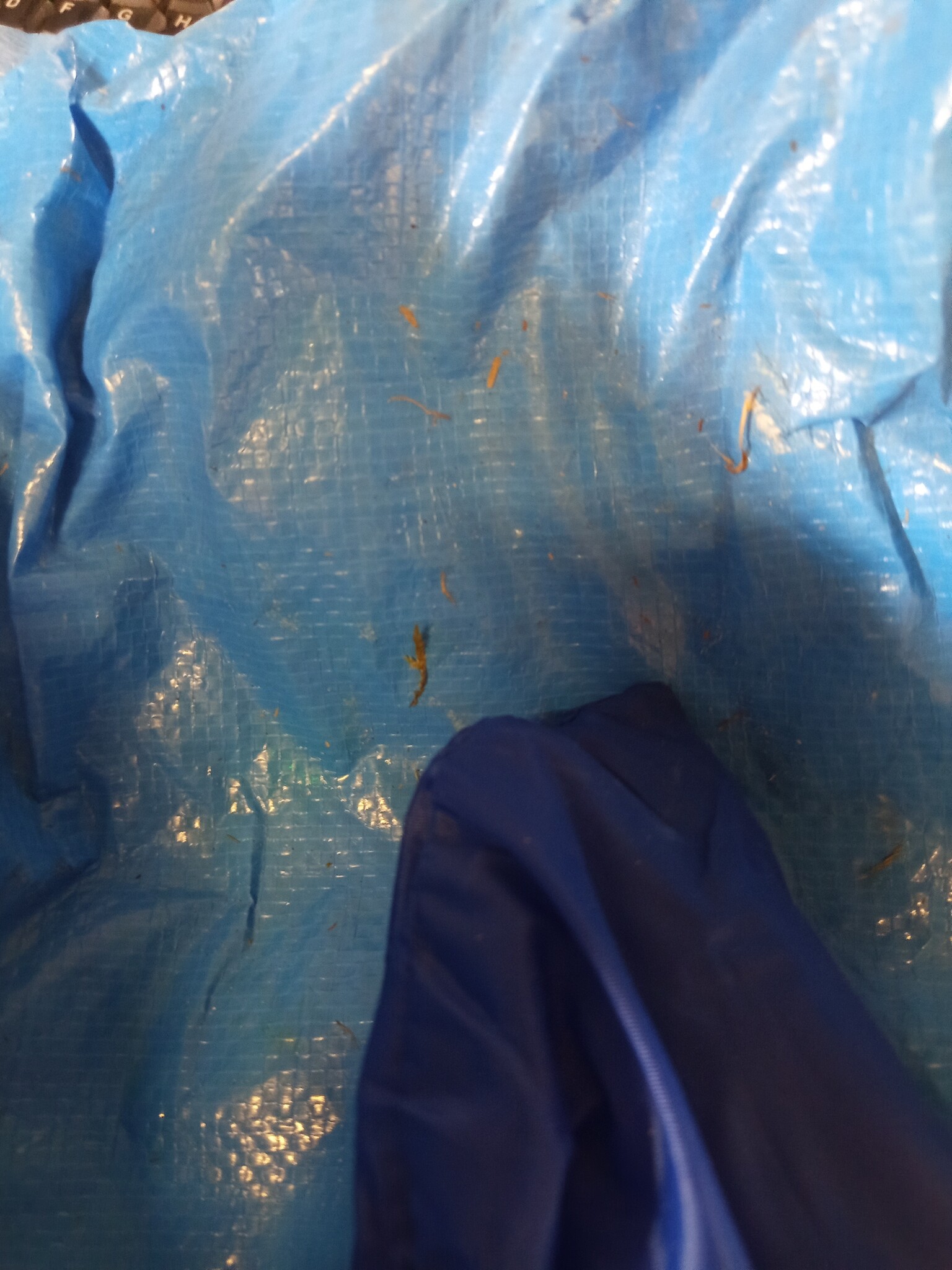 Welt 28436 Tent Tuin PJ Maskers