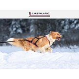 Hondentuig X-Back voor Trekken, Bikejoring, Skijoring, Canicross - Gelijkmatige Drukverdeling, Maximale Bewegingsvrijheid - Zwart Neonoranje Maat S