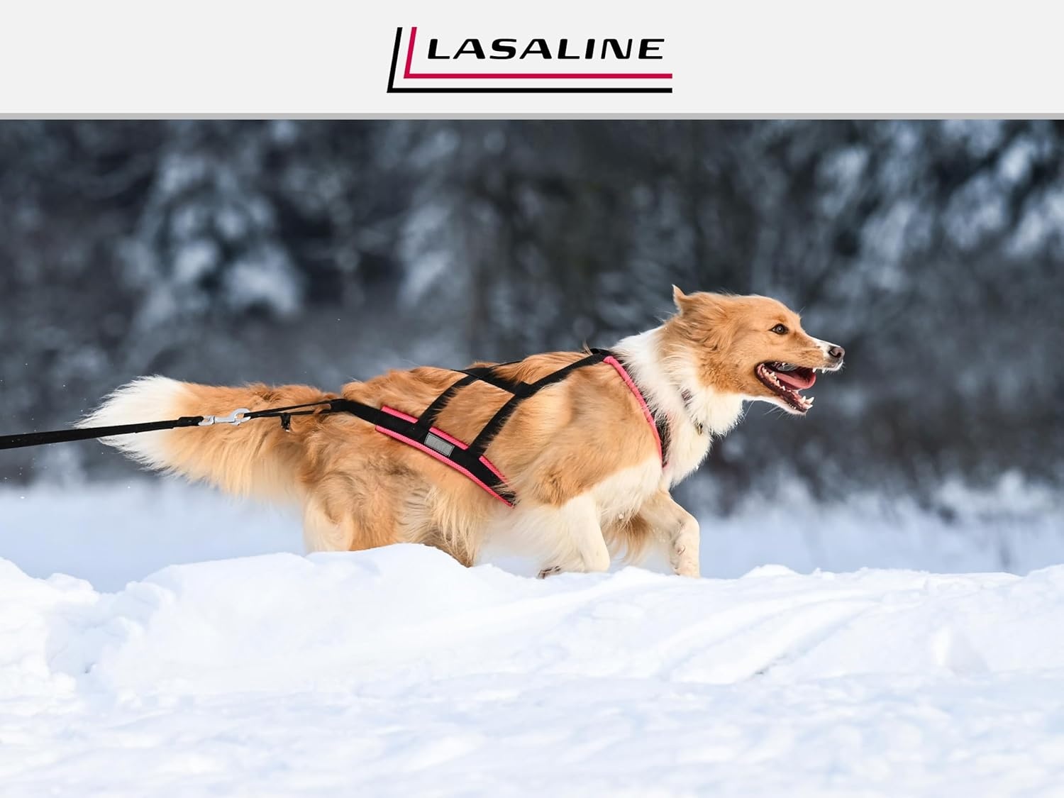 Hondentuig X-Back voor Trekken, Bikejoring, Skijoring, Canicross - Gelijkmatige Drukverdeling, Maximale Bewegingsvrijheid - Zwart Neonoranje Maat S