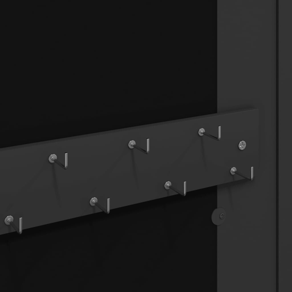 Sieradenkast met spiegel, wandmontage, 30x8.5x67 cm Zwart - 29% Korting