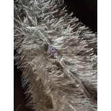 vidaXL Kunstkerstboom wit L 240 cm