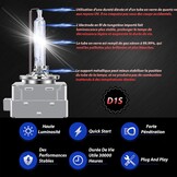 Xenon HID Autolamp D1S 35W 6000K Wit 12V (set van 2)