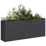 Plantenbak 200x40x80 cm Zwart Koudgewalst Staal - 31% Korting
