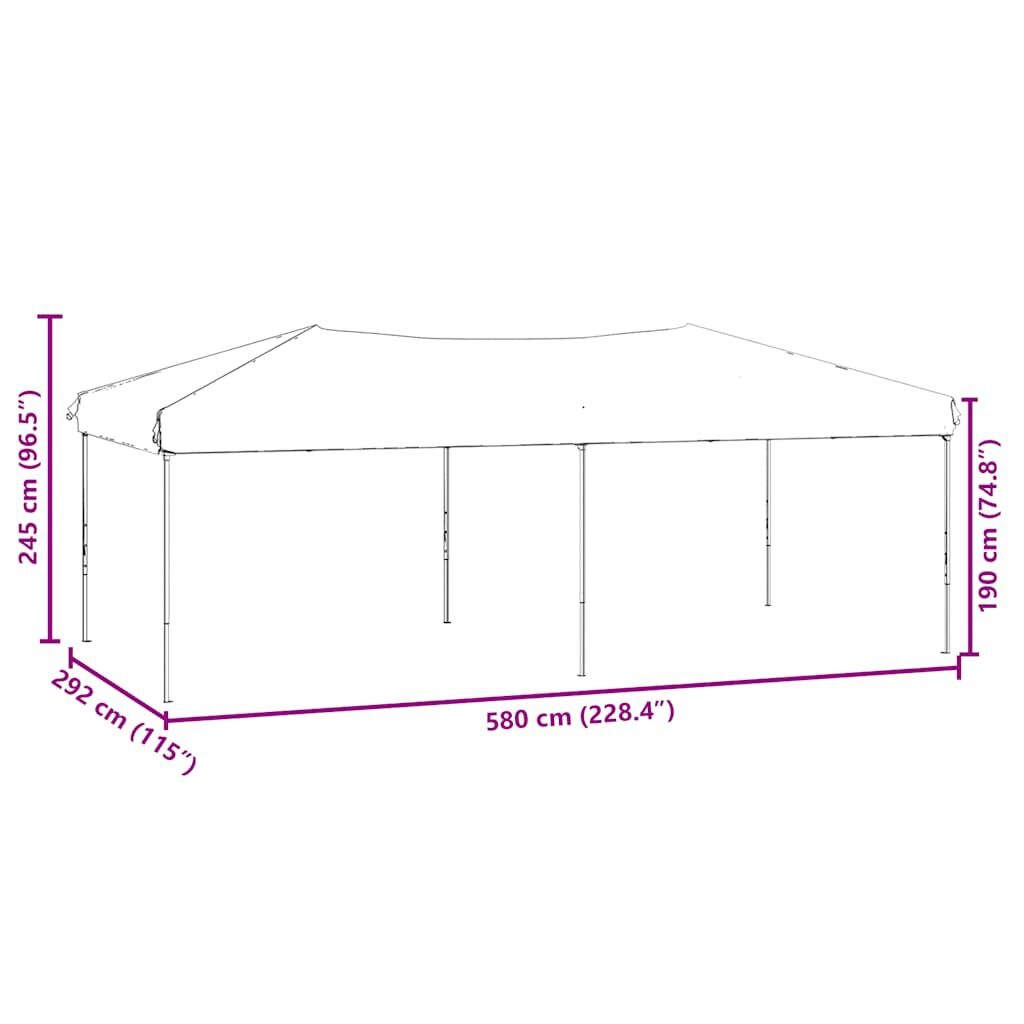 vidaXL Partytent inklapbaar met zijwanden 3x6 m antracietkleurig