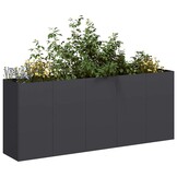 Plantenbak 200x40x80 cm Zwart Koudgewalst Staal - 50% Korting