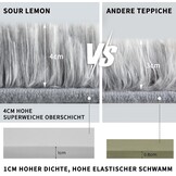 Sour Lemon Hoogpolig tapijt 160x230cm, lichtgrijs, tapijt, woonkamer,wasbaar, antislip, extra groot, slaapkamer, pluizige moderne tapijten, mat tapijten voor slaapkamer en kinderkamer