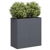 vidaXL Plantenbak 80x40x80 cm koudgewalst staal antracietkleurig