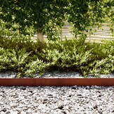 vidaXL Tuinrand 20 st 100 x 0.05 x 20 cm Roestig
