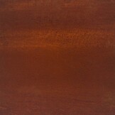 vidaXL Tuinrand 20 st 100 x 0.05 x 20 cm Roestig