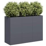 vidaXL Plantenbak 120x40x80 cm koudgewalst staal antracietkleurig