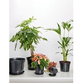 Garronda Ronde Productie Plantenbakplaten GD-0026 (1 Stuk - Zwart, ⌀ 50 cm H=6,2 cm)