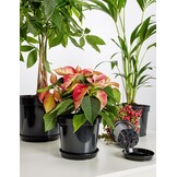 Garronda Ronde Productie Plantenbakplaten GD-0026 (1 Stuk - Zwart, ⌀ 50 cm H=6,2 cm)