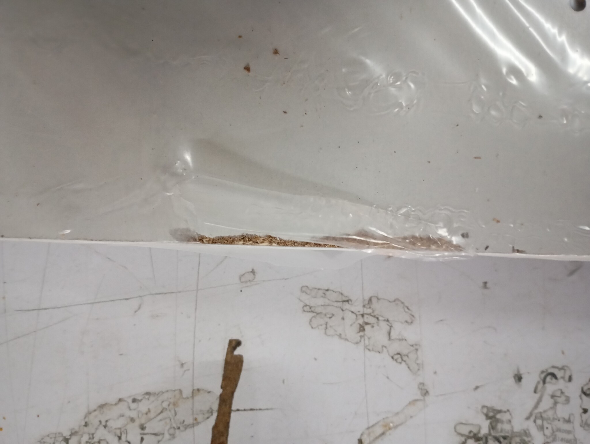 Wandkapstok Wit Bewerkt Hout - 57% Korting