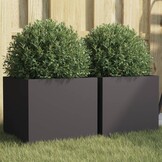 Plantenbakken Staal 2 stuks Zwart 32x30x29 cm - 29% Korting