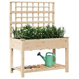 vidaXL Tuin Bloempot Beige 115 x 60.5 x 153 cm Massief vurenhout