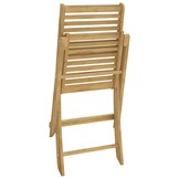 vidaXL Opklapbare stoelen, 2 stuks, 48,5 x 61,5 x 87 cm, massief acaciahout.
