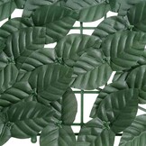 vidaXL Balkonscherm met donkergroene bladeren 300x100 cm