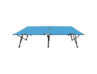vidaXL Ligbed 2-persoons inklapbaar staal blauw