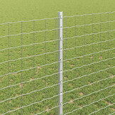 vidaXL Ingegrapte Hekpalen - 11 stuks - Zilver - 180 cm - Gepoedercoat Staal (34% Korting)