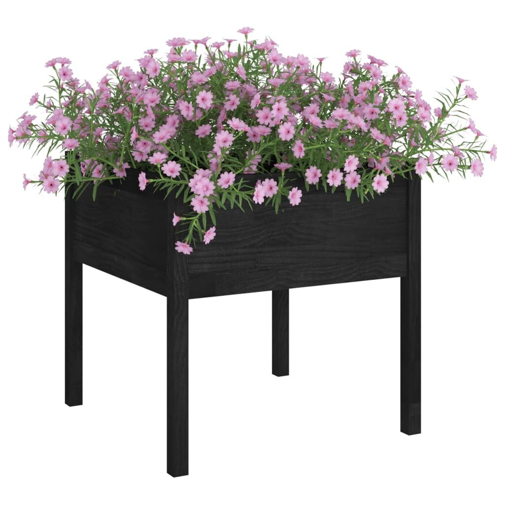 Plantenbak Grenenhout Zwart 70x70x70 cm - 53% Korting