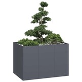 Plantenbak Staal Antraciet 120x80x80 cm - 35% Korting