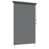 vidaXL Rolgordijn Lichtgrijs 60 x 250 cm Stof en Aluminium