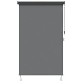 vidaXL Rolgordijn Lichtgrijs 60 x 250 cm Stof en Aluminium