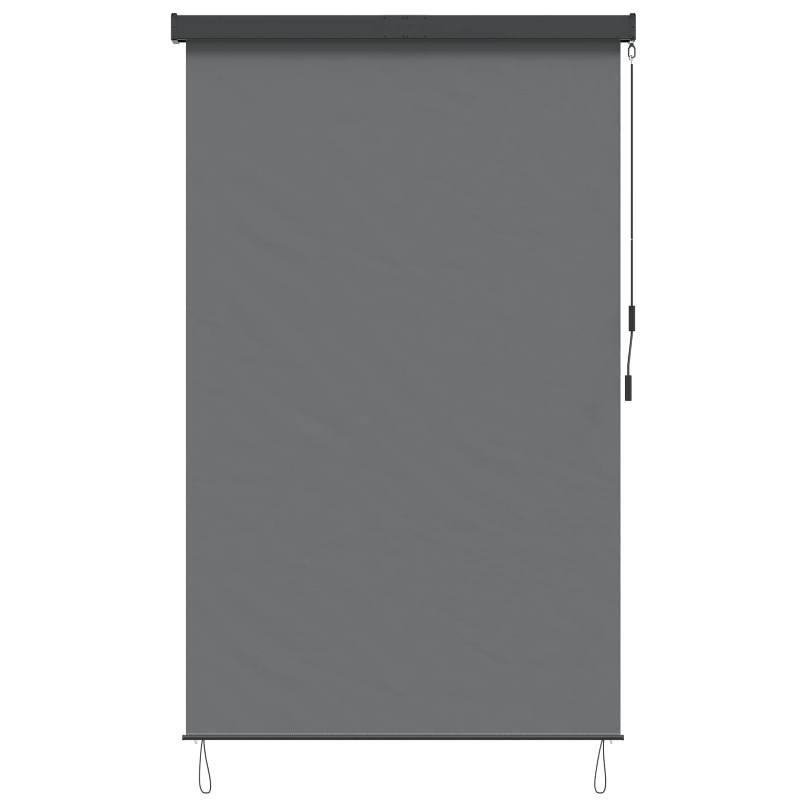 vidaXL Rolgordijn Lichtgrijs 60 x 250 cm Stof en Aluminium