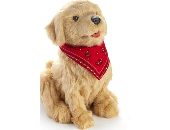 Interactieve Pluche Hond Goud 23cm - Levensecht - 35% Korting