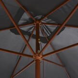 VidaXL Parasol Antraciet 200x300cm met Hout Hoge Korting