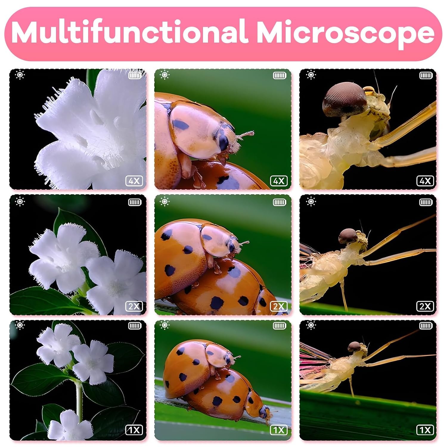Milgeo Kinder Microscoop Roze - 500x Vergroting & Camera