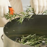 VEVOR Bud Leaf Trimmer, 40,6 cm roestvrijstalen handmatige bud-trimmermachine, met doorzichtige PET-afdekking voor visueel snijden, inclusief handsnoeischaar, voor het snijden van bladeren, knoppen,