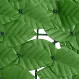 vidaXL Balkonscherm met Groene Bladeren 600x75 cm - 33% Korting