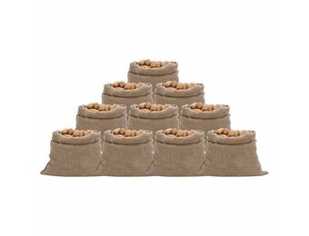VidaXL Jute Zakken 10 stuks - 100x110 cm - 100% Jute (34% Korting)