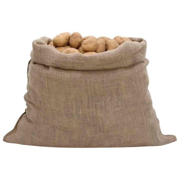 VidaXL Jute Zakken 10 stuks - 100x110 cm - 100% Jute (34% Korting)